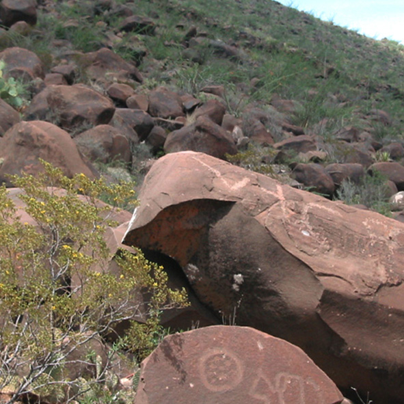 Visitar los fósiles de Narigua – COAHUILA, ARQUEOLOGÍA